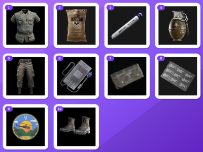 Gray Zone Warfare Twitch bundle — Vintage Blouse (Olive), Combat Ration Pack +8 more 