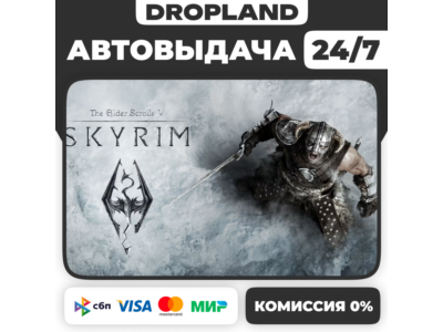 The Elder Scrolls V: Skyrim | Anniversary Edition Steam КЛЮЧ | Россия+СНГ