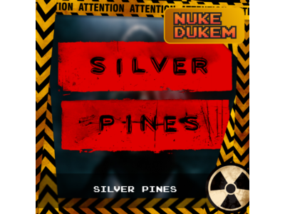 РФ+СНГ+ТР | Silver Pines - Выбор издания | STEAM КЛЮЧ