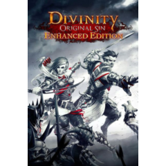 Divinity Original Sin Enhanced Collector&acute;s Edition ГИФТ