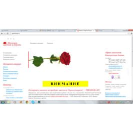 1000RUB - Certificate of Payment Online PERMROZA.RU