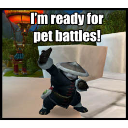 Pandaren Monk | Pandaren Monk Pet | Pet Kung Fu Panda