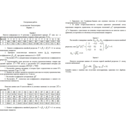 Option 3 Econometrics