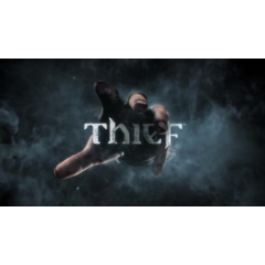 Thief 2014 (Steam region free; ROW gift)