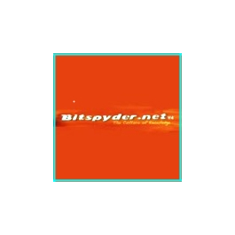 Bitspyder.net invitation - an invite to Bitspyder.net