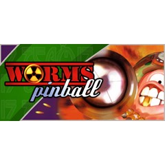 Worms Pinball  💎 STEAM KEY RU+CIS СТИМ КЛЮЧ ЛИЦЕНЗИЯ