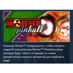 Worms Pinball STEAM KEY РФ+СНГ СТИМ КЛЮЧ ЛИЦЕНЗИЯ