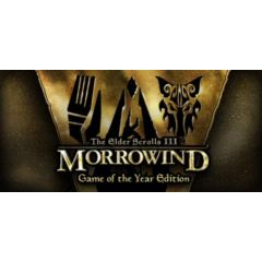 The Elder Scrolls III: Morrowind GOTY STEAM КЛЮЧ РФ+СНГ