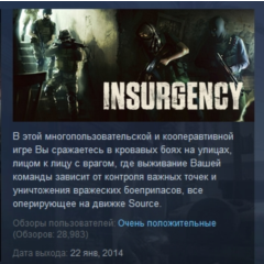Insurgency STEAM GIFT РОССИЯ+СНГ СТИМ ЛИЦЕНЗИЯ