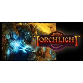 Torchlight 1 (RU/CIS activation; Steam ROW gift)