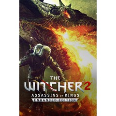 The Witcher 2: Assassins of Kings (Steam Gift RegFree)