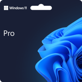 🌐 Windows 11 Professional [ 11 PRO FQC-10547 OEM ]