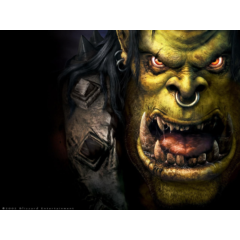 Warcraft III Gold ROC+TFT Global KEY активируется в РФ