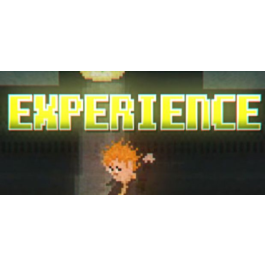 Experience ( Steam Key / Region Free ) GLOBAL ROW