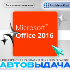 OFFICE 2016/2013 - Pro Plus/ Home Business