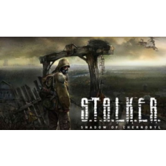 STALKER: Shadow of Chernobyl (Steam ключ/не для РФ/РБ)