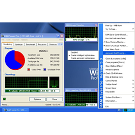 RAM Saver Professional