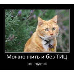 База сайтов для поднятия тИЦ и продвижения