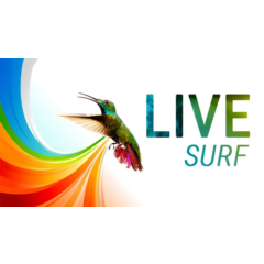 10000 посещений из системы LiveSurf + БОНУС