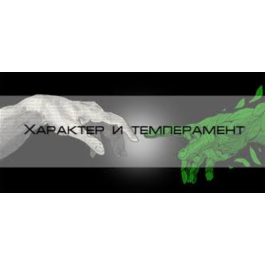 Temperament and Character Questionnaire (TCI)