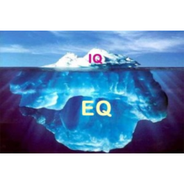 Emotional Intelligence Test (EQ Test) (N.Holl)