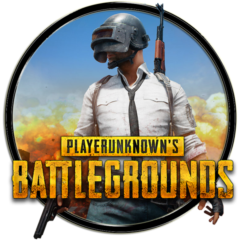 PLAYERUNKNOWN´S BATTLEGROUNDS® (Region Free)+1000 часов