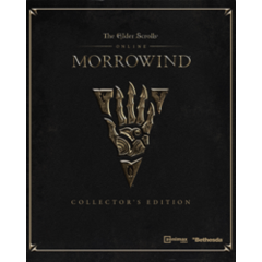 THE ELDER SCROLLS ONLINE + MORROWIND (STEAM/РФ+СНГ)