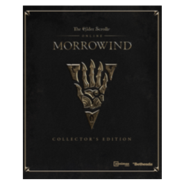 THE ELDER SCROLLS ONLINE + MORROWIND (STEAM) INSTANTLY