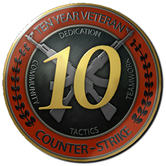 🥇5 dig 2003г +ПЕРВАЯ ПОЧТА 10 лет ветеран CS GO медаль