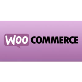 TOP 5 Premium Templates for WooCommerce 2019