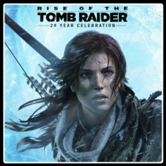 🔑 Ключ Rise of the Tomb Raider 20 Ye Xbox One & Series