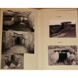 Archive of the project "Orion". Vol. 83-154-961-Dolmens