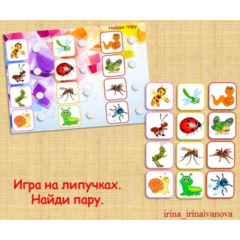 НАЙДИ ПАРУ насекомые /электронная версия