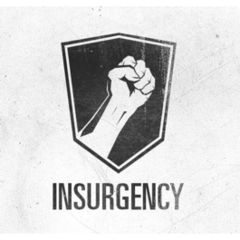 Insurgency (Steam Key Region Free)