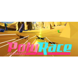 PolyRace (Steam Key / Region Free)