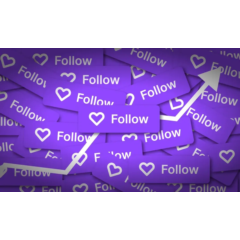 Twitch Followers \ Твич Фолловеры \ Настройки + Подарок