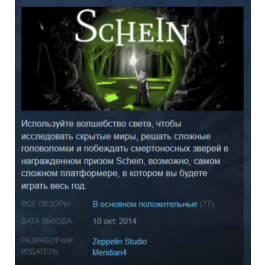 Schein (Steam Key/Region Free/Global) + BONUS 🎁