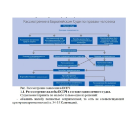 Workshop on European gum. law (answers; 2 option)