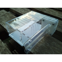 Test tube formicarium - art. TM023