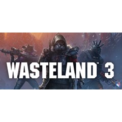 ⚡️Wasteland 3 | АВТОДОСТАВКА [Россия - Steam Gift]