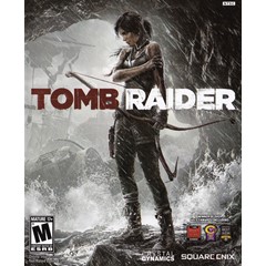 Tomb Raider (Steam Gift Россия)