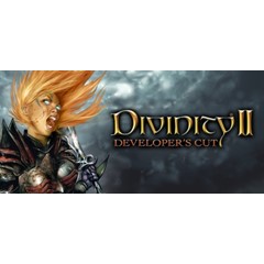 Divinity II Developer&acute;s Cut (Steam Gift Россия)