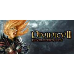 Divinity II Developer&acute;s Cut (Steam Gift Россия)