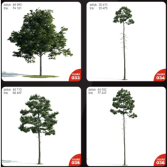 Evermotion Archmodels vol.171