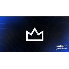 Salient [16.1.3] - Русификация премиум темы 🔥💜