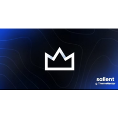 Salient [17.3.0] - Русификация премиум темы 🔥💜