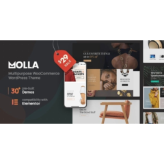 Molla [1.4.0] - Русификация премиум темы 🔥💜