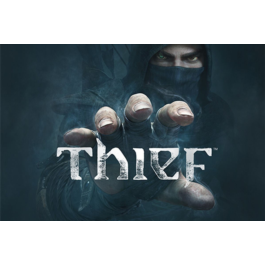 Thief / Steam 🔴 NO COMMISSION