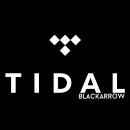 ✅ TIDAL HiFi Plus  ★ 1-2 MONTHS ★ PRIVATE ACCOUNT