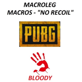 PUBG - Macros for bloody